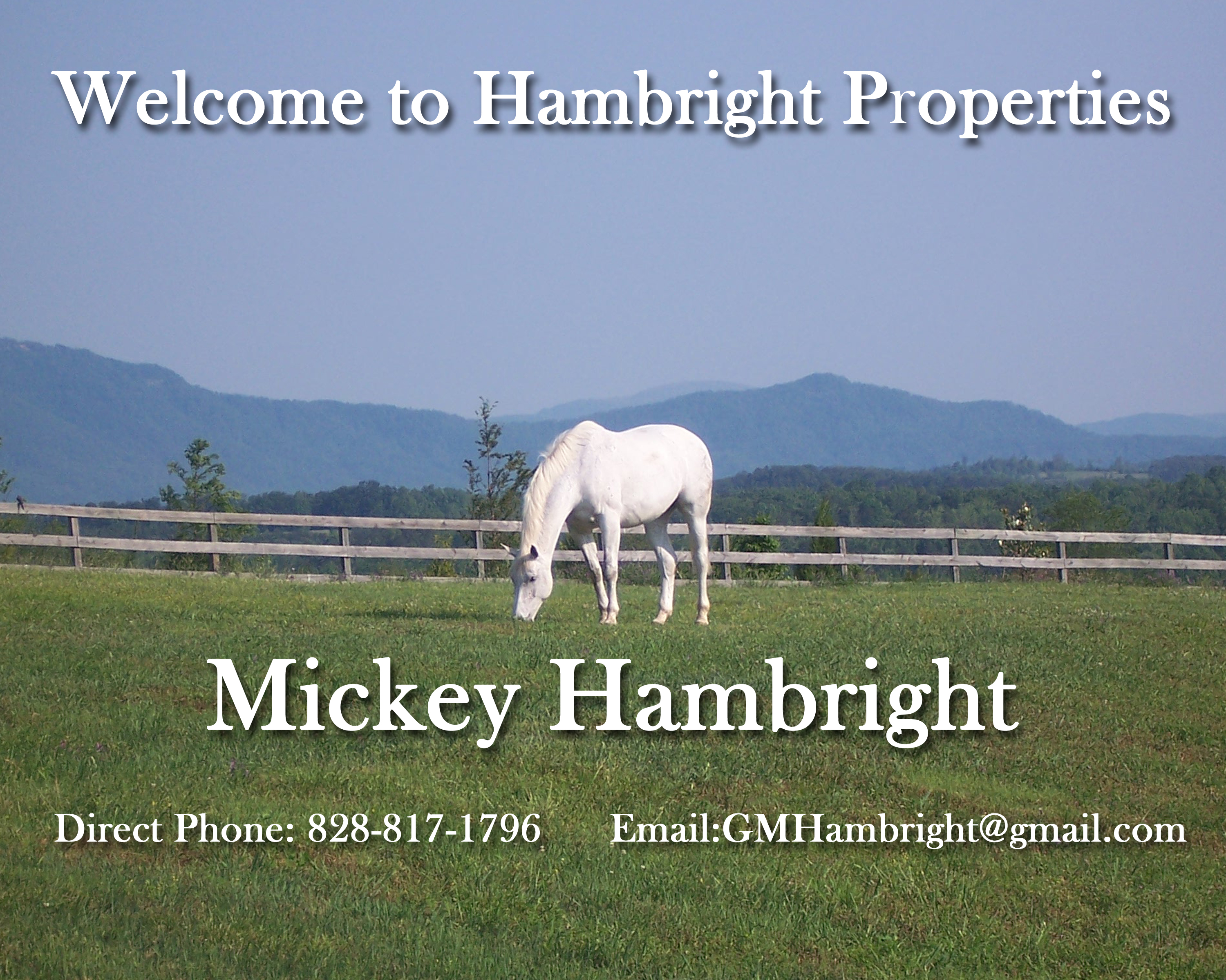 Tryon NC Real Estate, Landrum SC Realty, North SC Horse Farms, Columbus Homes for Sale, Polk County Equestrian Property, upstate SC, USC, spartanburg sc, greenville sc, saluda nc,north carolina, polk county nc, ashville nc, blue ridge mountains nc, tuxedo nc, campobello sc, gowensville sc, hendersonville,nc, north carolina homes for sale, properties for sale, land for sale, horse farms, horse properties, equestrian properties, private trail system, farms, high end homes, estates, real estate, realty, realtor, real estate agent, horsetrails, trail riding, equine, equestrian, country homes, horse shows, fox hunting, horse training, horse breeding, moving to, luxury homes, executives homes, hunting land, recreational properties, acreage with mountain views, Wellington, Fld, Wellington Horse Park, Wellington Horse Park, Wellington Horse Shows, Palm Beach Horse Park, Palm Beach, Horse Park of Wellington, Mark Bellissimo, Wellington, Roger Smith horse development, Mark Bellissimo horse development, New equestrian complex in Tryon, Bellissimo's Palm Beach International Equestrian Center, Palm Beach International Equestrian Center, Tryon International Tryon NC Real Estate, Landrum SC Realty, North SC Horse Farms, Columbus Homes for Sale, Polk County Equestrian Property, upstate SC, USC, spartanburg sc, greenville sc, saluda nc,north carolina, polk county nc, ashville nc, blue ridge mountains nc, tuxedo nc, campobello sc, gowensville sc, hendersonville,nc, north carolina homes for sale, properties for sale, land for sale, horse farms, horse properties, equestrian properties, private trail system, farms, high end homes, estates, real estate, realty, realtor, real estate agent, horsetrails, trail riding, equine, equestrian, country homes, horse shows, fox hunting, horse training, horse breeding, moving to, luxury homes, executives homes, hunting land, recreational properties, acreage with mountain views, Wellington, Fld, Wellington Horse Park, Wellington Horse Park, Wellington Horse Shows, Palm Beach Horse Park, Palm Beach, Horse Park of Wellington, Mark Bellissimo, Wellington, Roger Smith horse development, Mark Bellissimo horse development, New equestrian complex in Tryon, Bellissimo's Palm Beach International Equestrian Center, Palm Beach International Equestrian Center, Tryon International